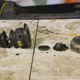 The turbocharger torn apart. The turbine housing and wheel are on the left, while the compressor housing is the cast aluminum one on the right, and the compressor wheel is sitting flat on the table. Photo: Jared Auslander